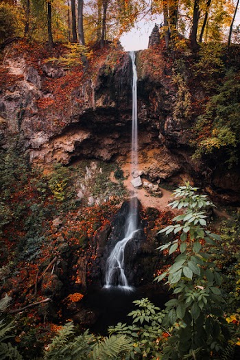 Waterfall on Cliff With Trees during Fall