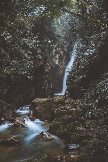 Waterfall on the Forest