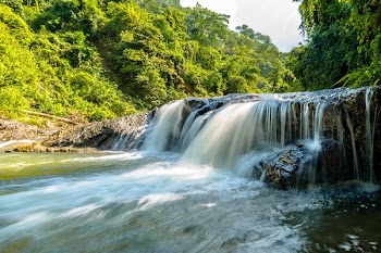 waterfall surrounded by forest