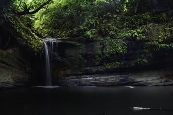 Waterfall Surrounded by Green Leaf Trees