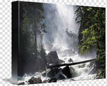 Waterfall Water resources Forest Tree Watercourse, forest transparent background PNG clipart
