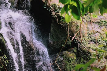 Waterfalls
