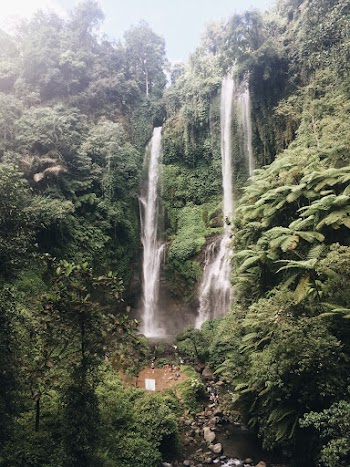 Waterfalls and Trees