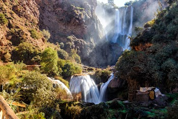 Waterfalls and Trees Time Lapse Landscape Photography