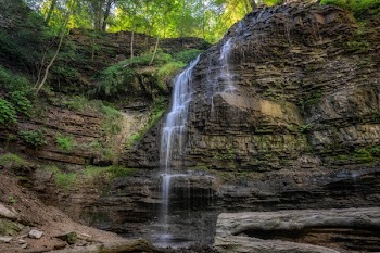 Waterfalls Coming from Forest Above