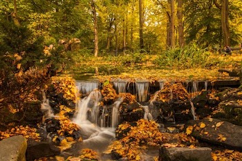 waterfalls in forest