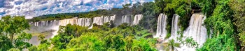 Waterfalls in Jungle Panorama