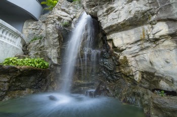Waterfalls Near Green Grasses Photograph