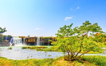 Waterfalls Near Land and Trees