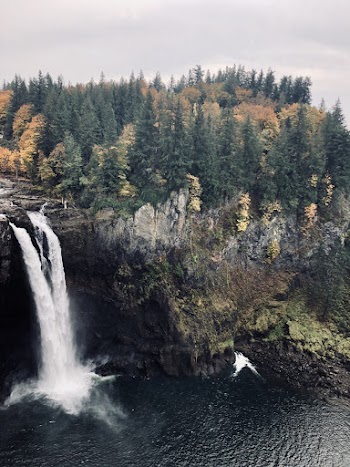 Waterfalls Near Tress