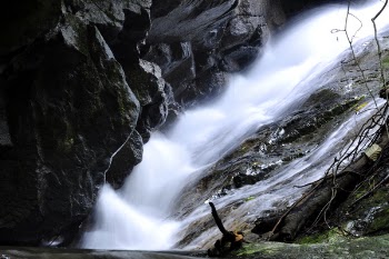 Waterfalls Stream