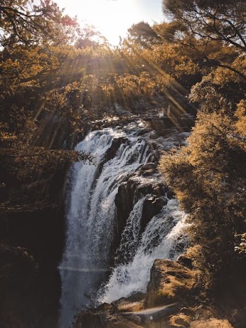 waterfalls surrounded by brown leaf trees during daytime