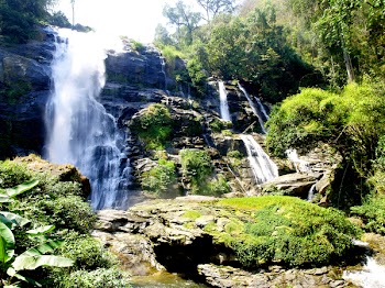Waterfalls Surrounded by Green Leaf Trees