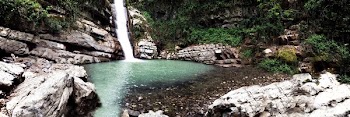 Waterfalls Surrounded by Green Plants