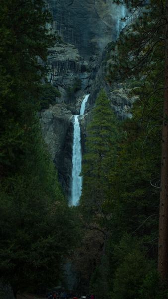 waterfalls surrounded by green trees