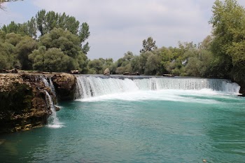 Waterfalls Surrounded by Trees