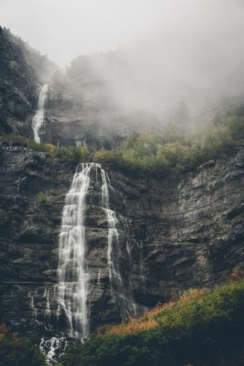 waterfalls surrounded by trees during daytime