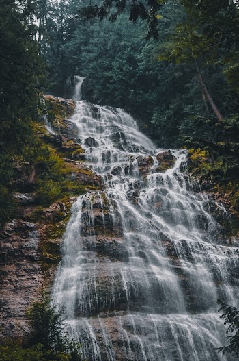 Waterfalls Surrounded With Green Trees