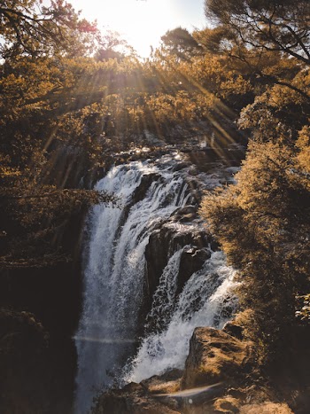 Waterfalls Surrounded With Trees With Sunrays