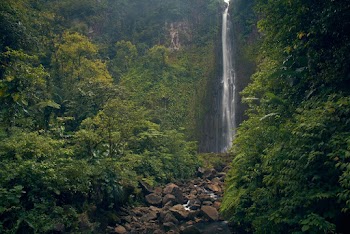 Waterfalls View