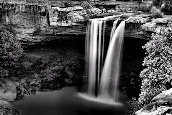 Waterfalls View Near Trees