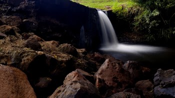 Waterfalls With Rocks in the Middle of Forest