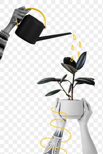 Watering a png plant with illustration remix | Free stock illustration | High Resolution graphic