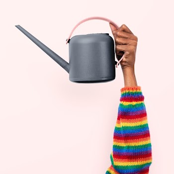 Watering can gardening tool held by a person… | Free stock photo | High Resolution image