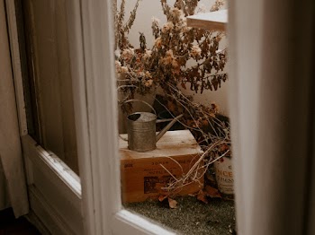 Watering Can on Wooden Box