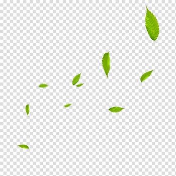 Watermark, Leaves transparent background PNG clipart