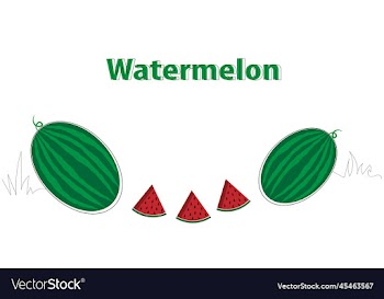 watermelon