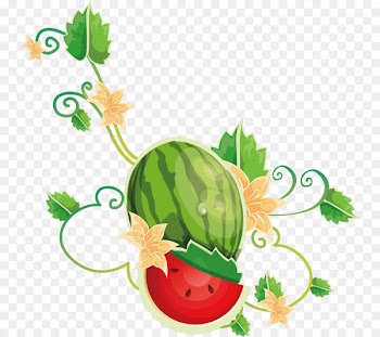 Watermelon Bougainvillea spectabilis Clip art Illustration Portable Network Graphics - anguria button 
