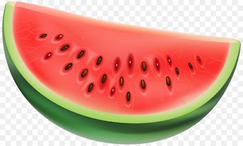 Watermelon Clip art Vector graphics Illustration Portable Network Graphics - watermelon 