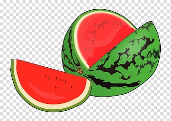 Watermelon Drawing Food Fruit, watermelon transparent background PNG clipart