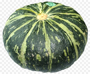 Watermelon Figleaf Gourd Calabaza Pumpkin - Sweet Pumpkin 