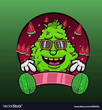 watermelon flavor with weed cartoon weed design