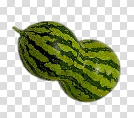Watermelon fruit, Butternut Shaped Watermelon transparent background PNG clipart