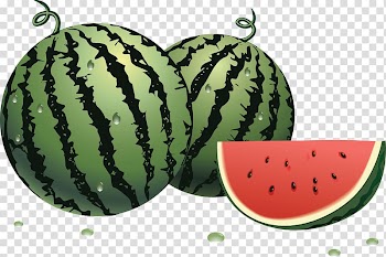 Watermelon Fruit Centimeter, watermelon transparent background PNG clipart