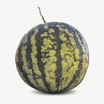 Watermelon fruit collage element psd | Free PSD - rawpixel