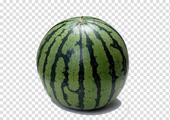 Watermelon Fruit Seed Vegetable Cucumber, Watermelon fruit transparent background PNG clipart