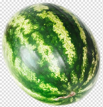 Watermelon fruit , Watermelon Citrullus lanatus Icon, Watermelon transparent background PNG clipart