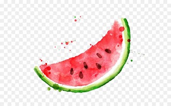 Watermelon Frutti di bosco Fruit Watercolor painting - Watercolor watermelon 