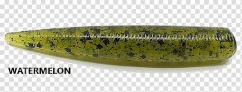Watermelon Green Cucumber Ohio Fishing bait, bass fishing weights transparent background PNG clipart