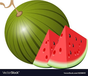  					Watermelon Isolated watermelon on white vector image														