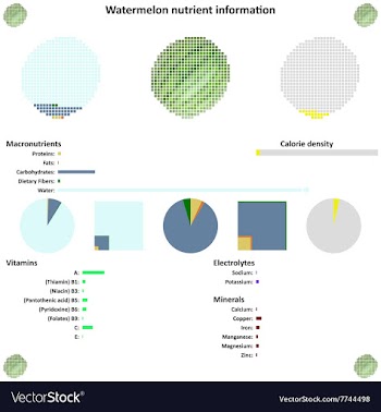 Watermelon nutrient information vector image