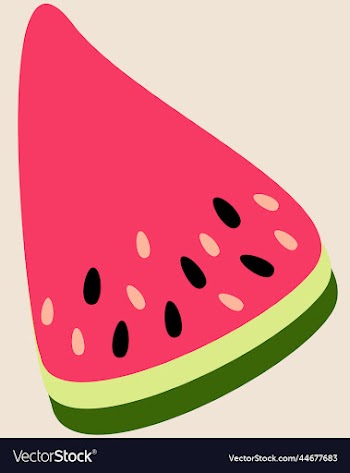 watermelon piece on light beige background