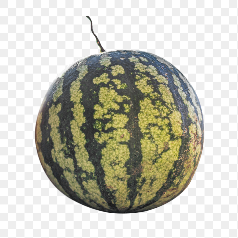Watermelon png fruit sticker, transparent | Free PNG - rawpixel