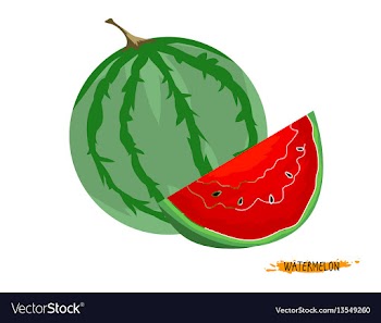 Watermelon vector image