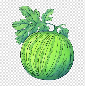 Watermelon Watercolor painting Illustration, Hand-painted watermelon transparent background PNG clipart