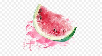 Watermelon Watercolor painting - Watercolor watermelon 